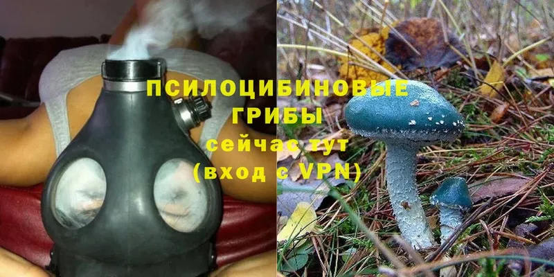 блэк спрут ссылка  Гусиноозёрск  Галлюциногенные грибы Cubensis  купить наркоту 